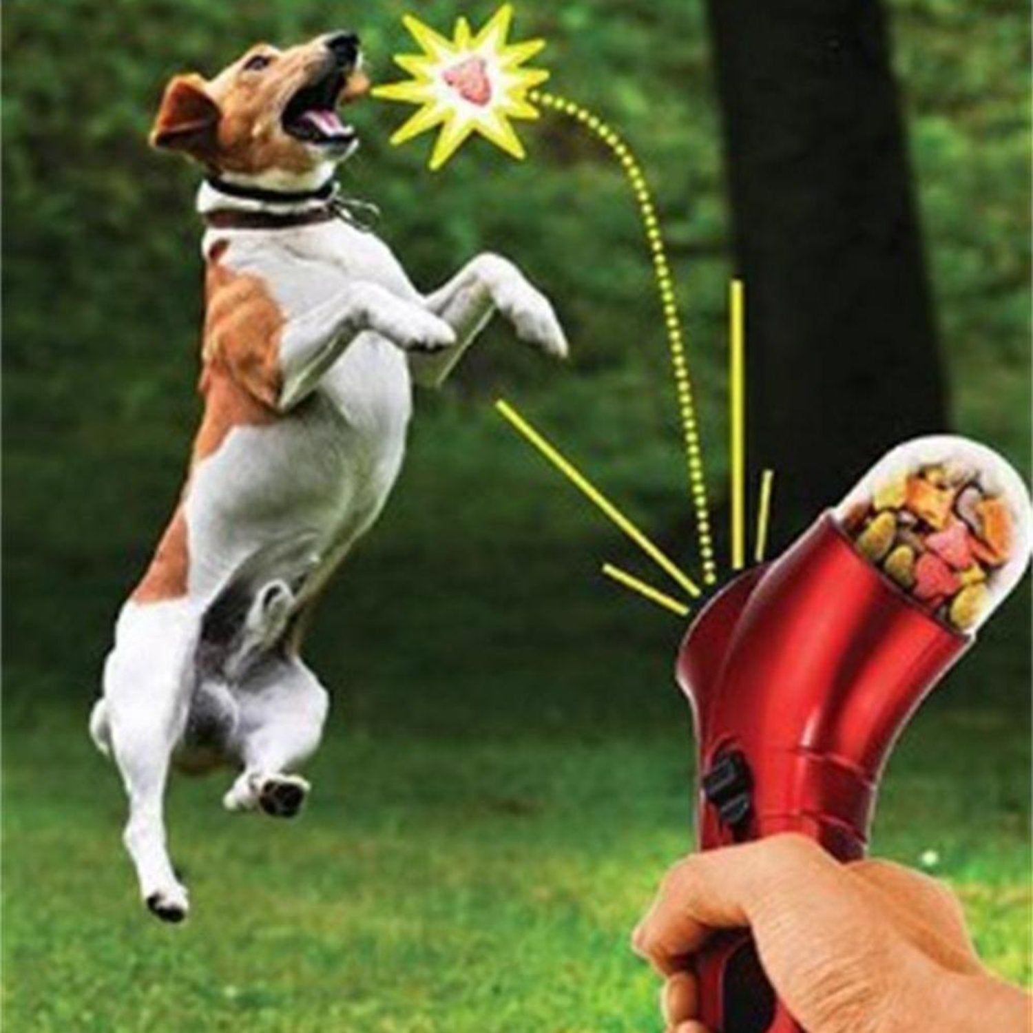 Dog Treat Launcher - Curio Gadgets